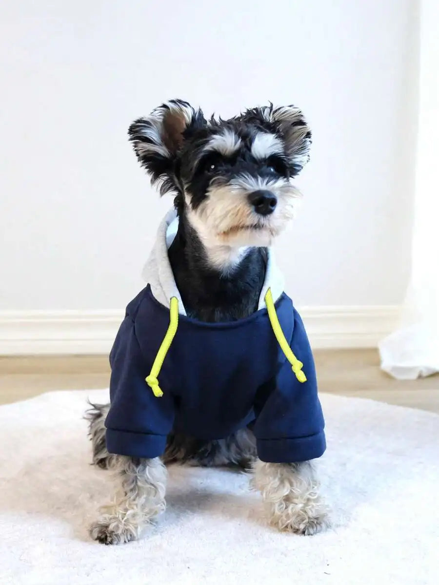 Navy Blue Hooded Sweatshirt, Dogs, Cats