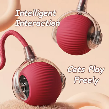 Automatic Self Play Ball, Long Lasting Chew Resistant,  Cats or Dogs