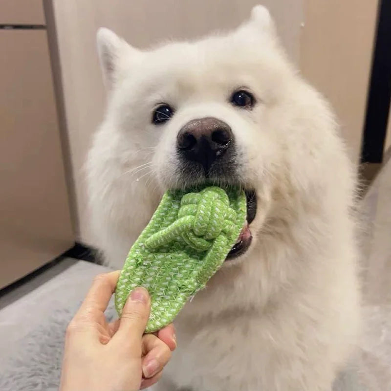 Cotton Rope Slipper Knot Chew Toy For Small Dogs Interactive Pet Toy Teeth Clean Molar Tartar Removal Durable Safe Dog Supplies