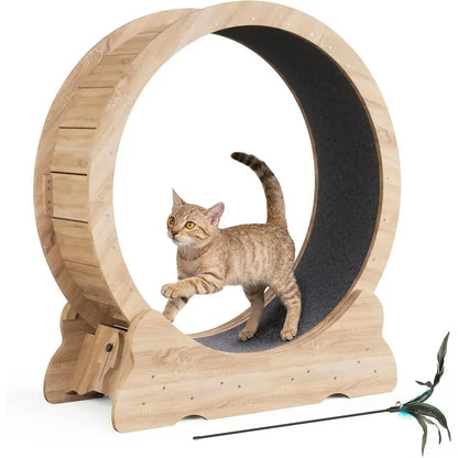 Indoor Cat Running Wheel with Smooth Quiet Roller