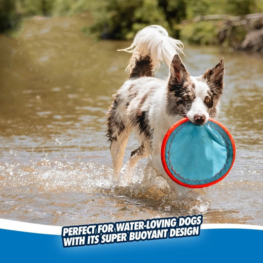 (4-Pack) Frisbee Dog Toy for the Pool