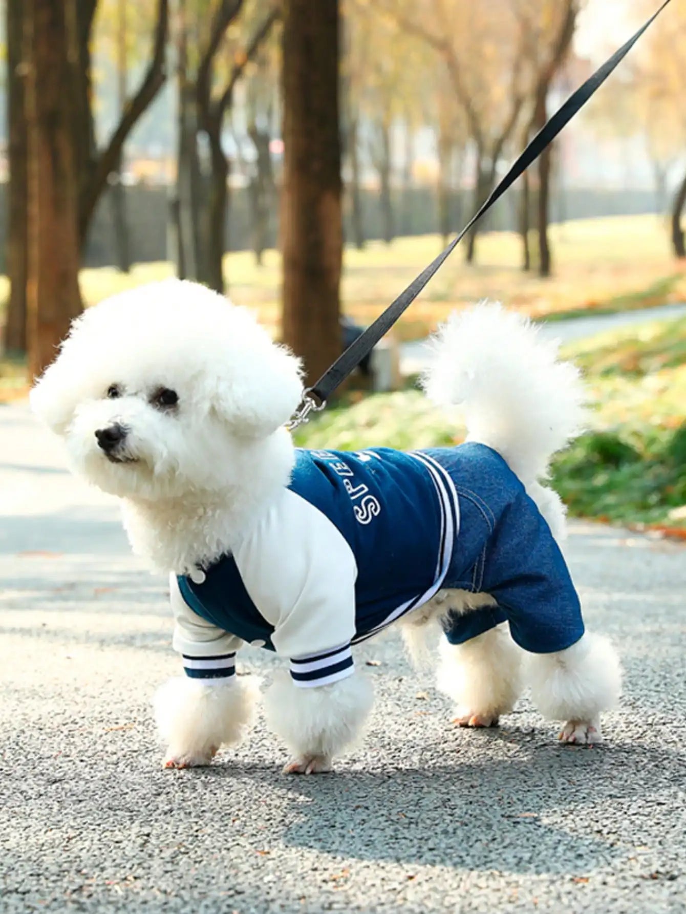 Navy Bluet Jumpsuit, Denim Style for Dogs and Cats