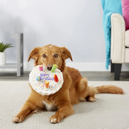 Dog Birthday Cake Toy, Squeaky, Colorful Candles, Durable, Large Breeds
