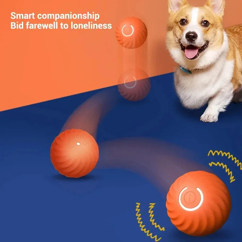 Automatic Bouncing Rolling Ball USB Smart /Dogs