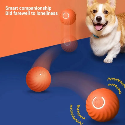 Automatic Bouncing Rolling Ball USB Smart /Dogs