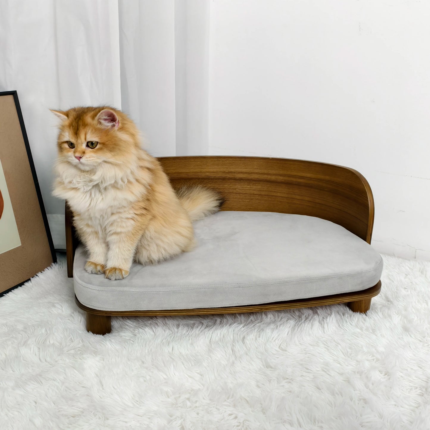 Sofa Chair Lounge for Kitty, or Puppy