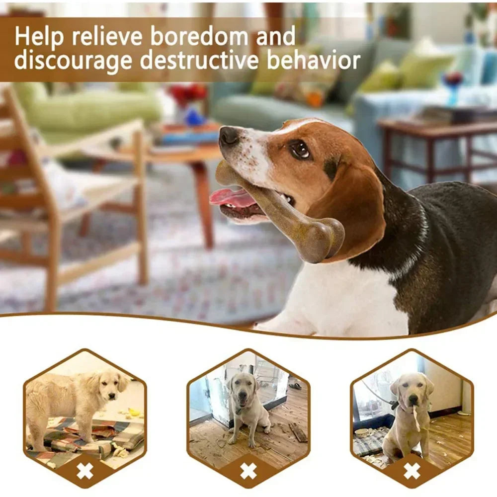 Dog Bone Chews , Natural Non-Toxic, For Dogs