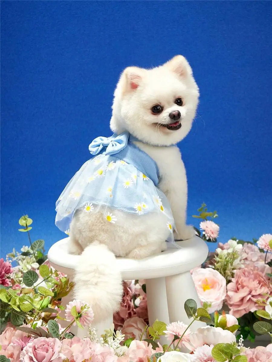 Blue Daisy Print Dress, Bow Tie,  Tulle Skirt