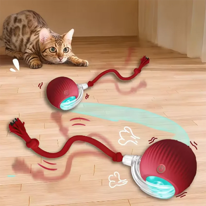 Automatic Self Play Ball, Long Lasting Chew Resistant,  Cats or Dogs