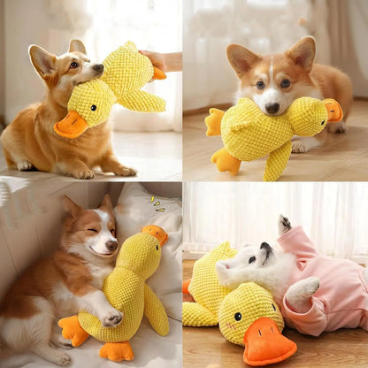 Duck Toy, Chew Resistant, Quacking Sound, Teeth Grinding Relief, Small or Large Dog