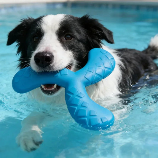 1pc Durable EVA Pet Interactive Flying Disc - Floating Three-Leaf Design, Wear-Resistant Dog Training Toy for Small & Medium Dog