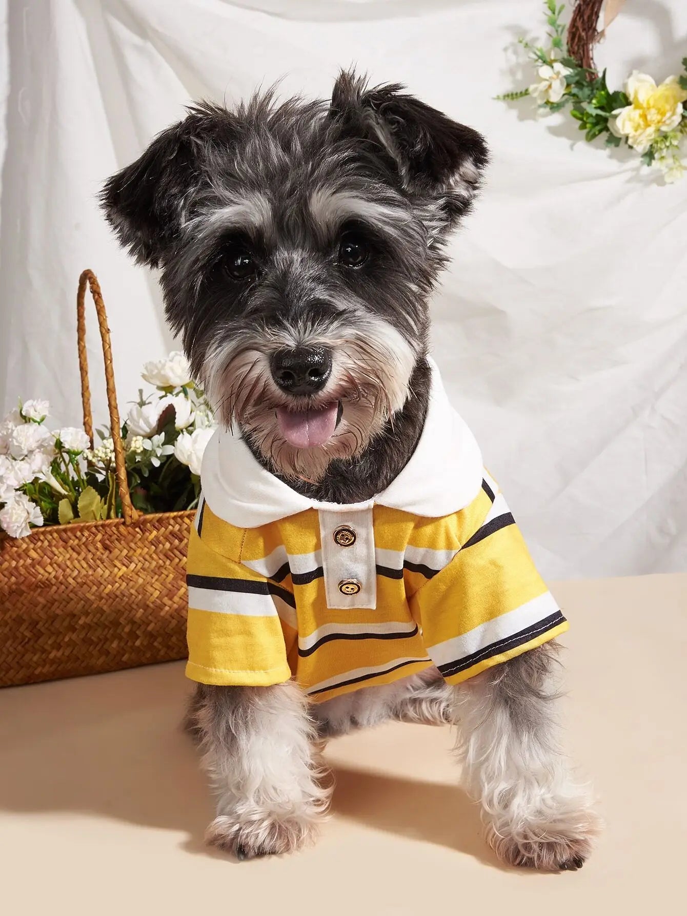 Dog Polo Shirt, Collar and Button Detail