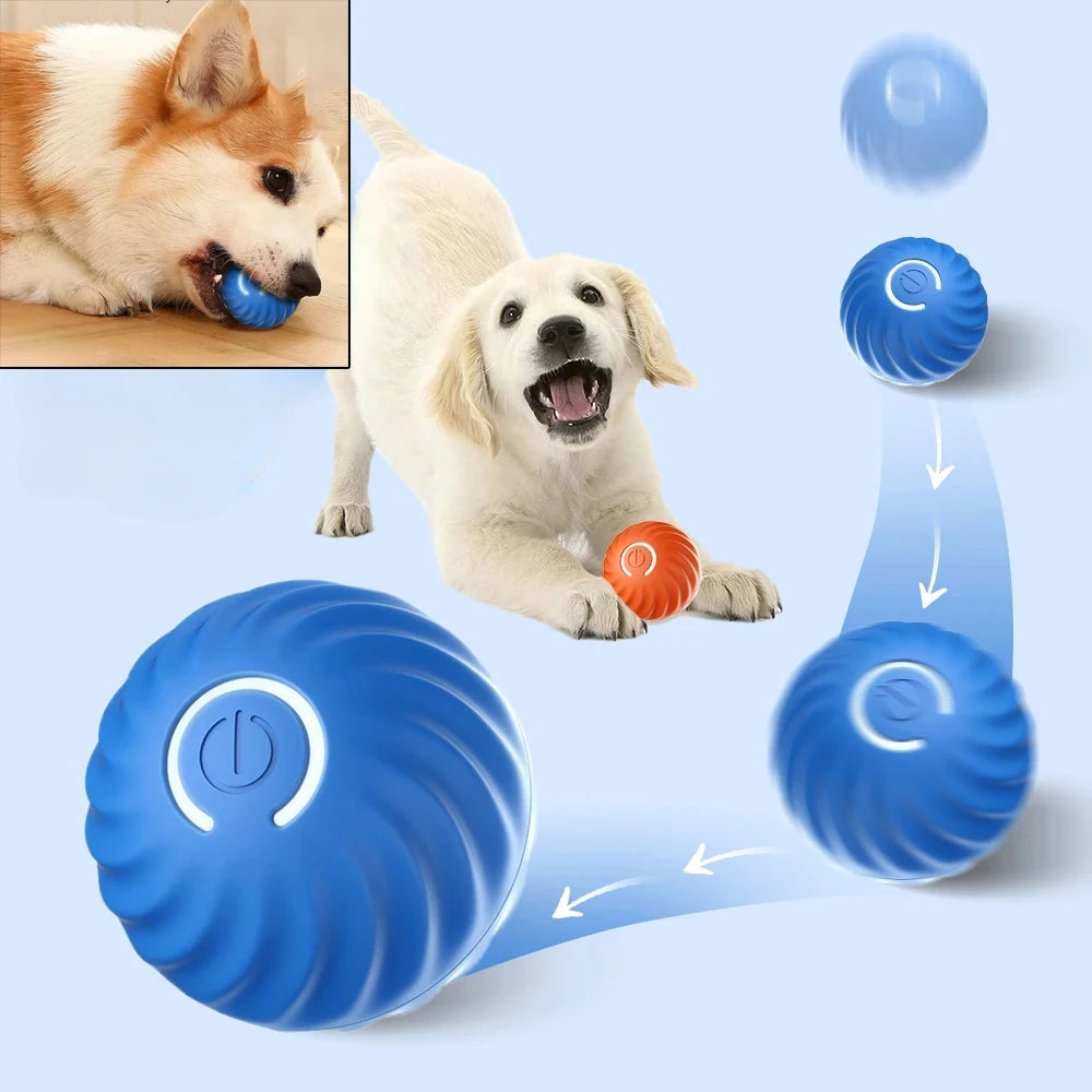 Automatic Bouncing Rolling Ball USB Smart /Dogs
