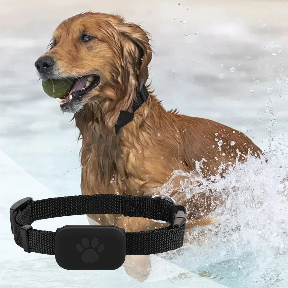 Smart Pet Locator, Cats and Dogs, Adjustable