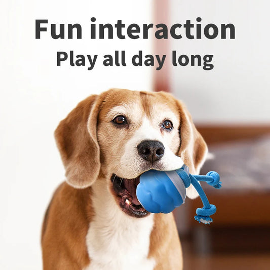 Electric dog ball, pet toy ball, USB charging dog interactive toy, durable dog chew ball toy, bringing endless fun and exercise