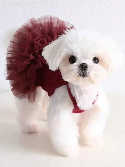 Dress for Small Dogs & Cats,