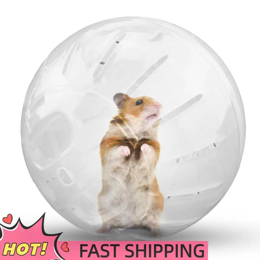 Running Ball For Gerbil Or Hamster