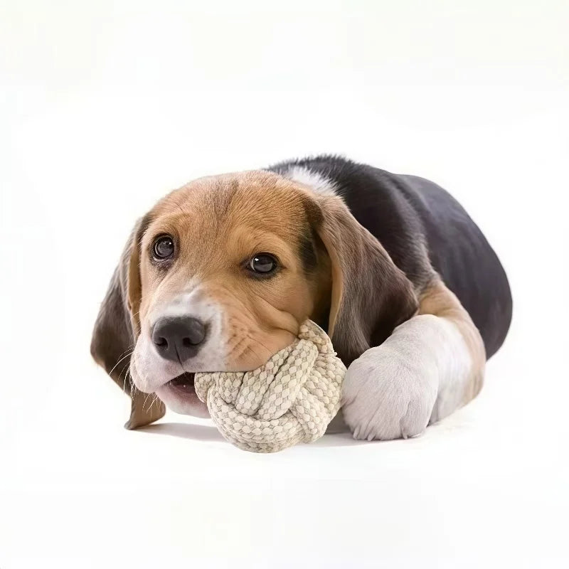A 3-piece Set Of Leisure And Entertainment Toys For Dogs And Cats To Better Interact With Your Pets