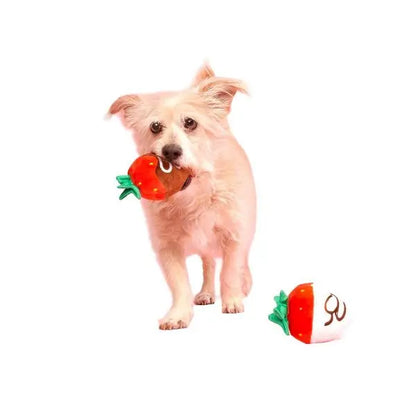 Dog Food Shaped Toy