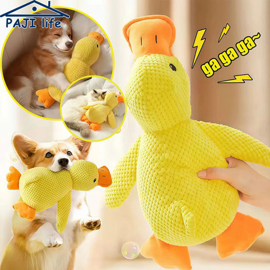 Duck Toy, Chew Resistant, Quacking Sound, Teeth Grinding Relief, Small or Large Dog
