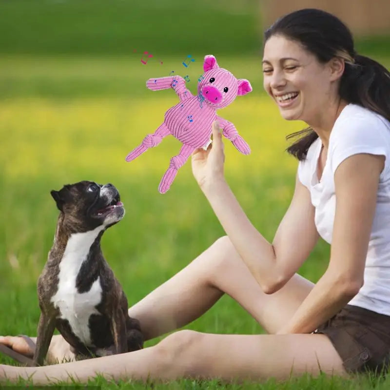 Dog Chew Toy, Teeth Cleaning, Interactive Squeaky Toy, Small Dogs