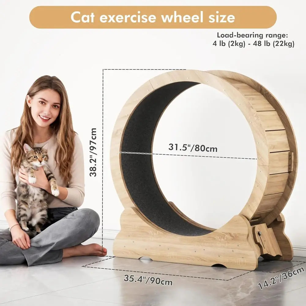 Indoor Cat Running Wheel with Smooth Quiet Roller